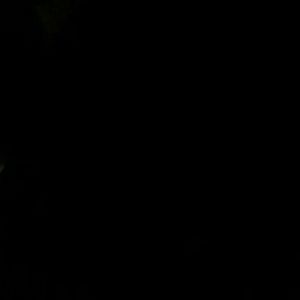 Meet your Posher, Cathy