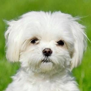 Meet your Posher, Sherilyn