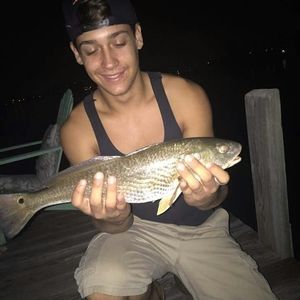 Meet your Posher, Joey