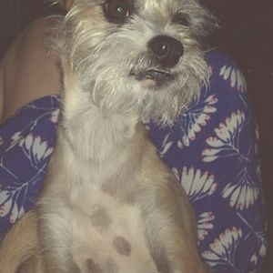 Meet your Posher, Liza