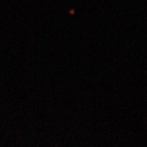 Meet your Posher, Luis