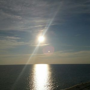 Meet your Posher, Tisha