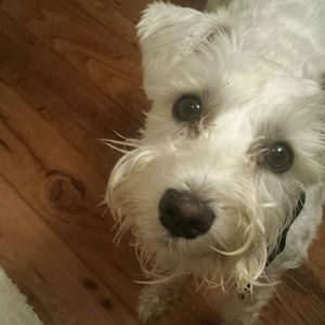 Meet your Posher, Sheryl