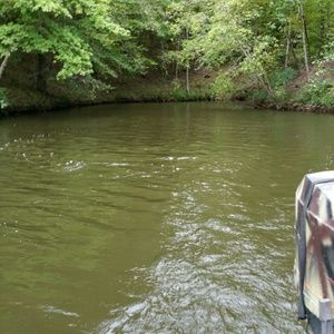 Meet your Posher, Summer