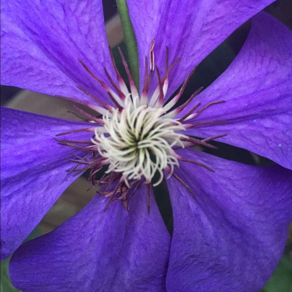 Meet your Posher, April - Picture 2 of 2