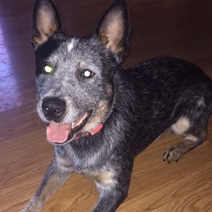 Meet your Posher, Marissa