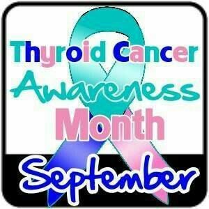 Meet your Posher, Suzanna