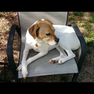 Meet your Posher, Juanita