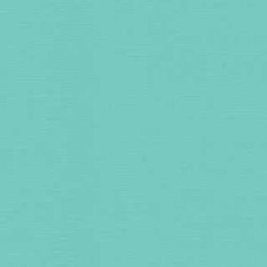 Meet your Posher, Liz