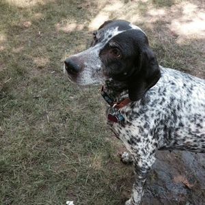 Meet your Posher, Verlean