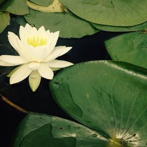 Meet your Posher, Kathryn