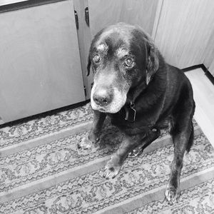 Meet your Posher, Tanya