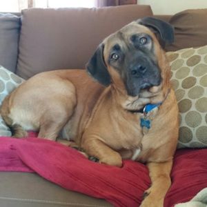 Meet your Posher, Kelley