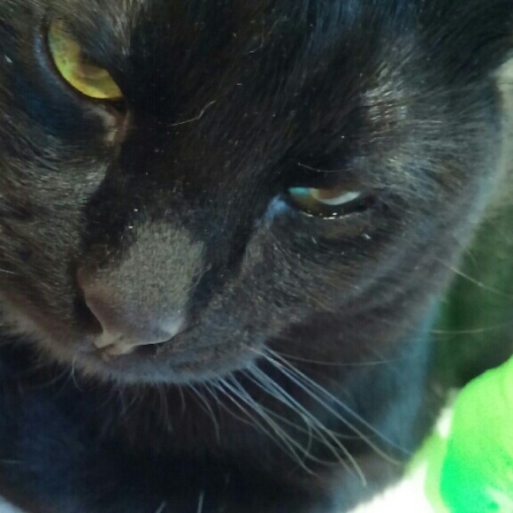 Meet your Posher, Tanja - Picture 2 of 4