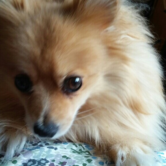 Meet your Posher, Tanja - Picture 3 of 4