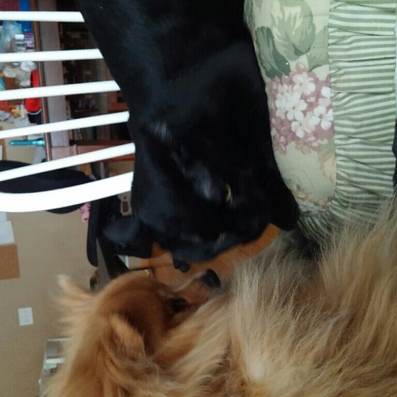 Meet your Posher, Tanja - Picture 4 of 4