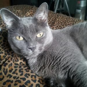 Meet your Posher, Kim