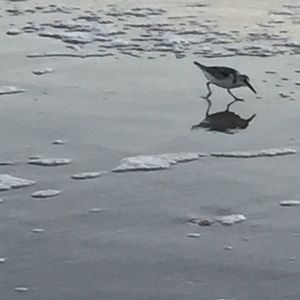 Meet your Posher, Bethany