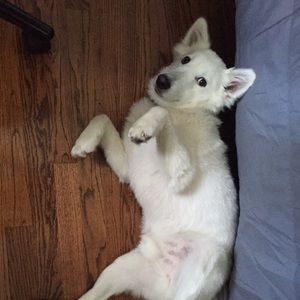 Meet your Posher, Paula