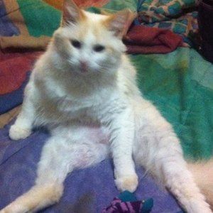 Meet your Posher, Jackie