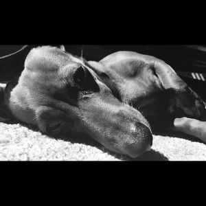 Meet your Posher, Marrin