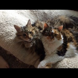 Meet your Posher, Deb