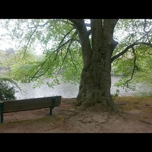 Meet your Posher, Britt