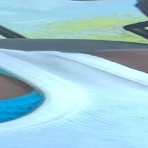 Meet your Posher, Hazel