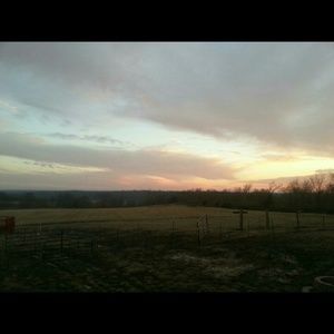 Meet your Posher, Tabitha