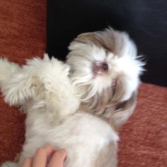 Meet your Posher, Jessy - Picture 2 of 2