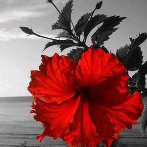 Meet your Posher, Yessi