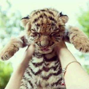 Meet your Posher, Ariana