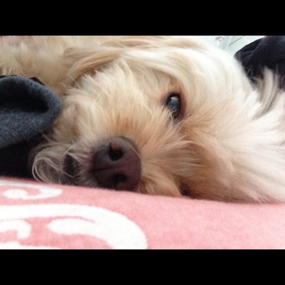 Meet your Posher, Megan