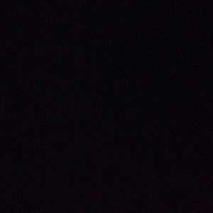 Meet your Posher, Ariela