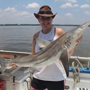 Meet your Posher, Allison