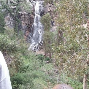 Meet your Posher, Katelynn