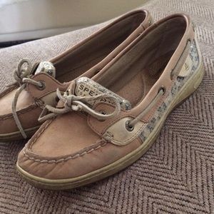 Cheetah Angelfish Sperrys