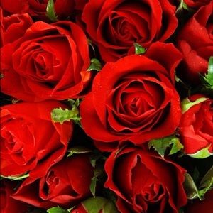 Meet your Posher, Aubree