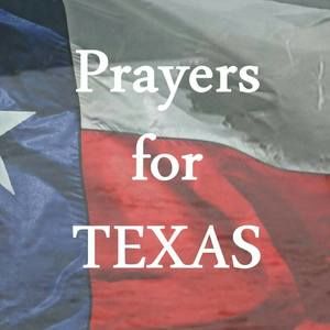 Meet your Posher, Judy