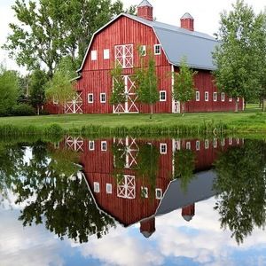 Meet your Posher, Dee