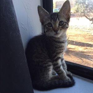 Meet your Posher, Victoria