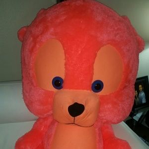 Meet your Posher, Ana