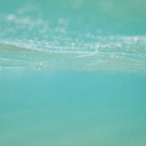 Meet your Posher, Camille