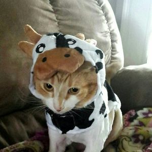 Meet your Posher, Tyanna