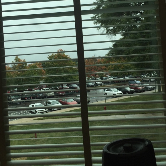 Meet your Posher, Tessa