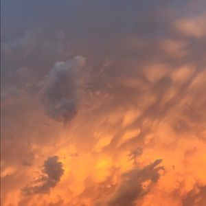 Meet your Posher, Whitney