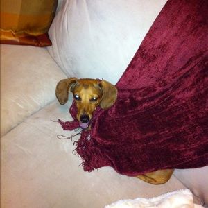 Meet your Posher, Lori