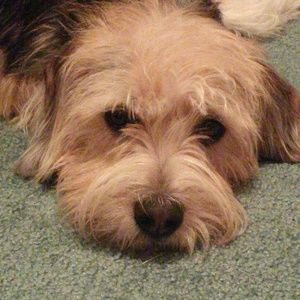 Meet your Posher, Kelli