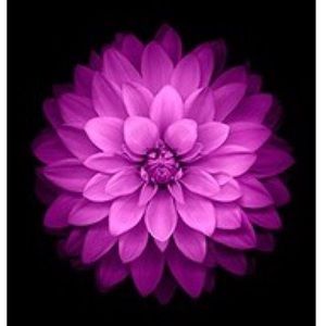 Meet your Posher, Sherry