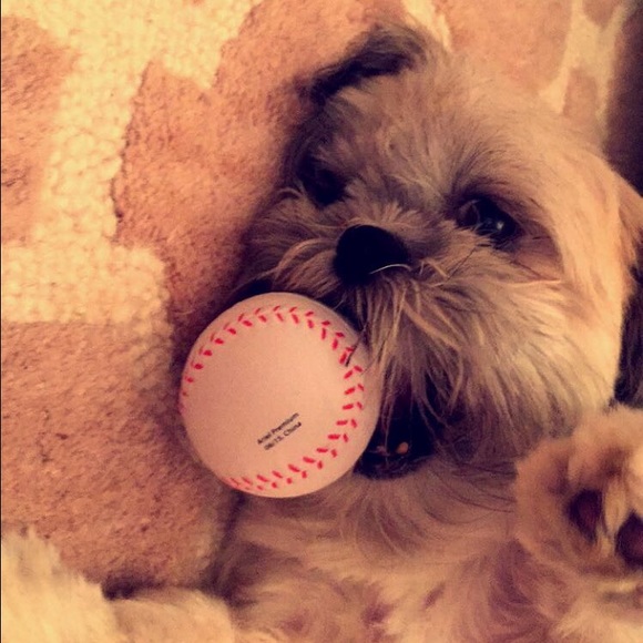 Meet your Posher, Mary